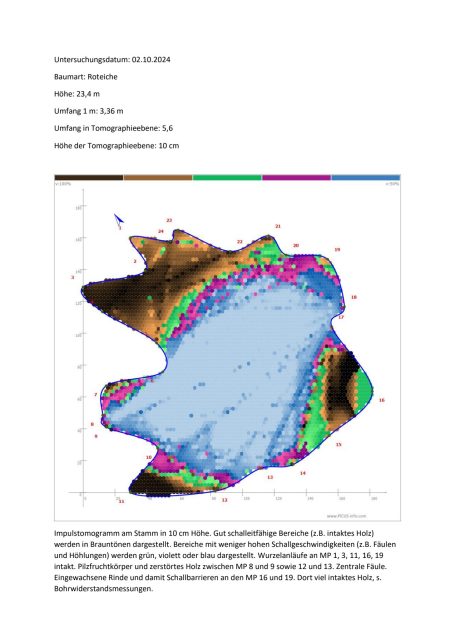 Grafik einer geologischen Karte mit topografischen und geophysikalischen Daten.
